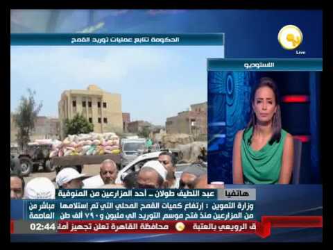 شاهد توريد القمح كارثة الحكومة