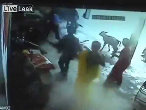 شاهد بقرة تهاجم رجلا حاول قتل ابنته