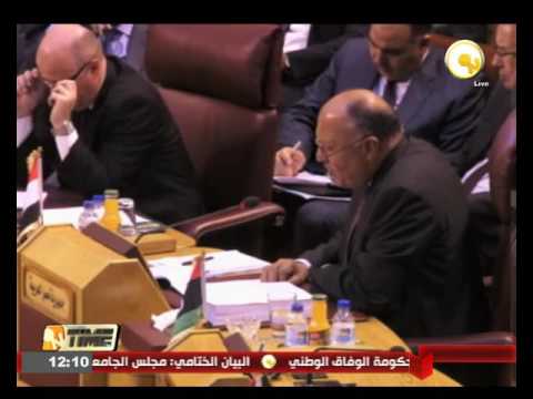 شكري يدعو إلى تكثيف جهود المجمتع الدولي للقضاء على داعش