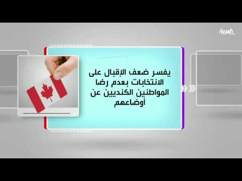 كل يوم كتاب يطرح ماذا حدث للسياسة 