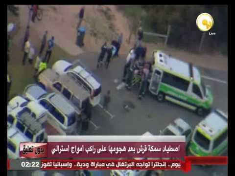 اصطياد سمكة قرش بعد هجومها على راكب أمواج أسترالي