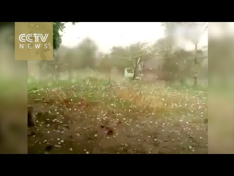 السماء تمطر ثلوج في حجم البيض في الصين