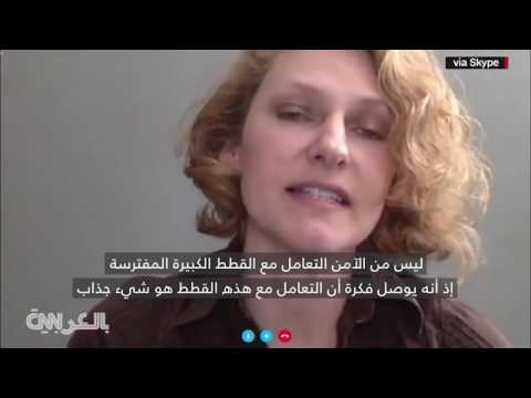 رجل يبتسم وخلفه نمر كبير يستعد للانقضاض عليه