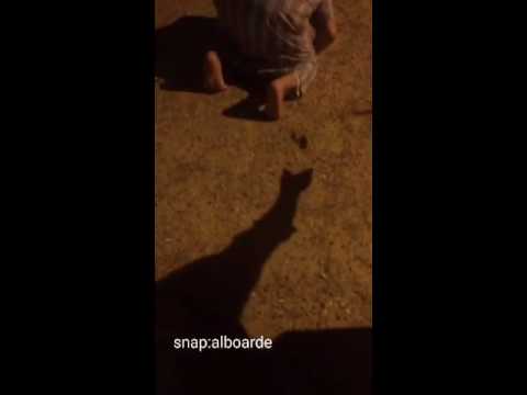 شاب يرمي ثعبانا بجانب صديقه خلال الصلاة