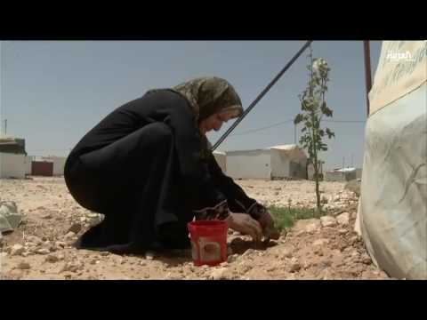 عجوز تعيش بمفردها في خيمتها