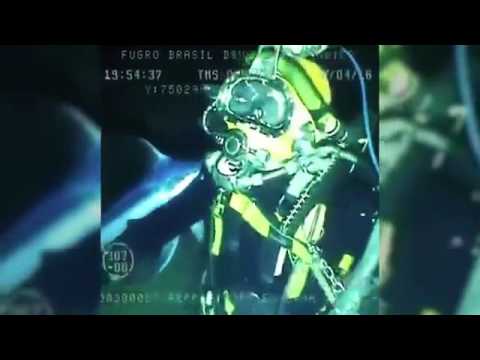 لحظة هجوم سمكة ضخمة على غواص أميركي