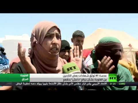 بالفيديو شاهد شهادات نازحين من الفلوجة