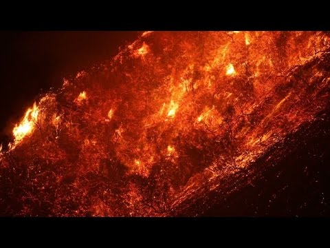 بالفيديو اشجار هالكة وجفاف قياسي وصفة لحرائق الغابات في الغرب الاميركي