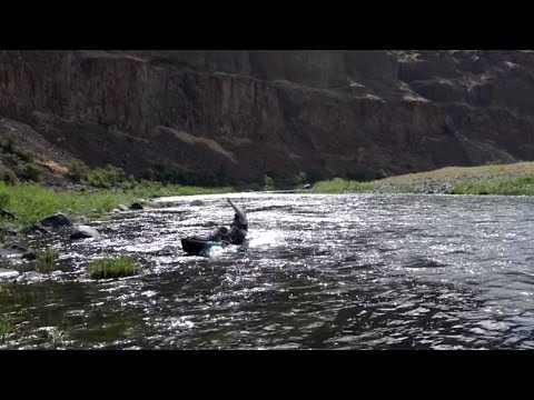 رجل يتعرض لموقف محرج أثناء صيد السمك