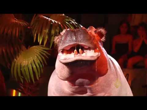 شاهد عروض سيرك يشارك فيها فرس النهر في سيبيريا