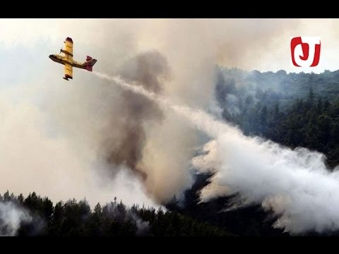 شاهد اشتعال حريق كبير في غابة غورغو في إقليم الناظور