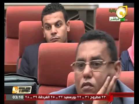 شاهد  محمود عفيفي يؤكد حضور  15 رئيس دولة  في  القمة  العربية