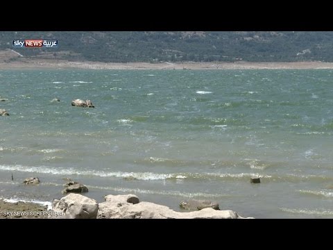 بالفيديو بحيرة القرعون الملوثة تتربص بسكان البقاع