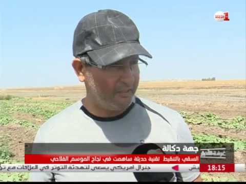 الري بالتنقيط تقنية حديثة ساهمت في نجاح الموسم الزراعي