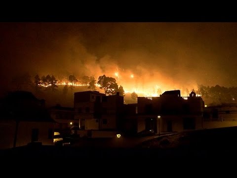 شاهد استمرار عمليات إخماد حرائق جزيرة بالما