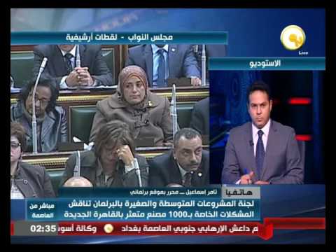 لجنة المشروعات المتوسطة والصغيرة في البرلمان تناقش مشاكل المصانع في القاهرة الجديدة