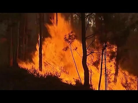 حرائق الغابات تطال جزيرة ماديرا البرتغالية في المحيط الأطلسي