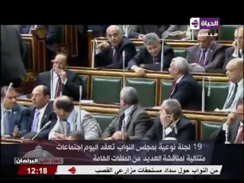 بالفيديو انعقاد 19 لجنة نوعية في مجلس النواب المصري