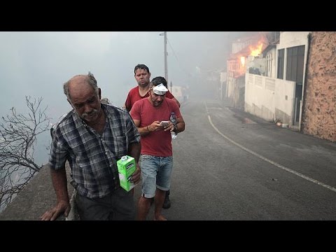 شاهد مقتل ثلاثة أشخاص بسبب حرائق الغابات في البرتغال