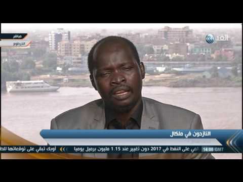 خبيريؤكد أن الأمم المتحدة فشلت في القيام بدورها في جنوب السودان