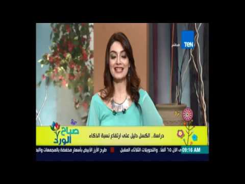 بالفيديو دراسة علمية  تكشف أن الكسل دليل على ارتفاع الذكاء