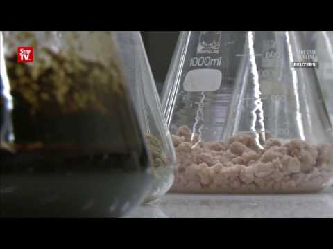 شاهد فنانة هولندية تُحوّل روث الأبقار لأزياء راقية