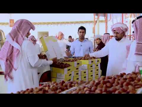 شاهد  القصيم تحقق قفزات سريعة في زراعة النخيل