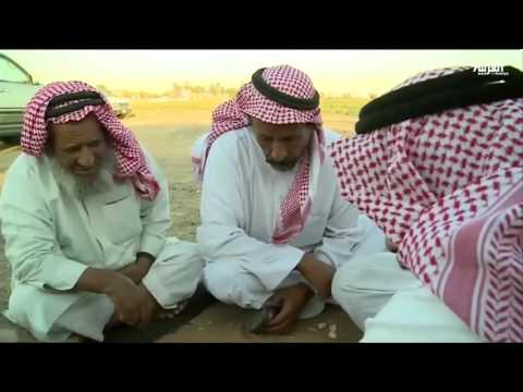 بالفيديو  لعبة السيجه تقليد يمارس يوميًا في تبوك