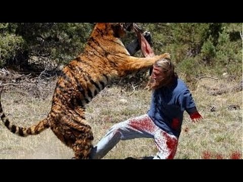 بالفيديو أقوى مقاطع هجوم الحيوانات المفترسة على البشر