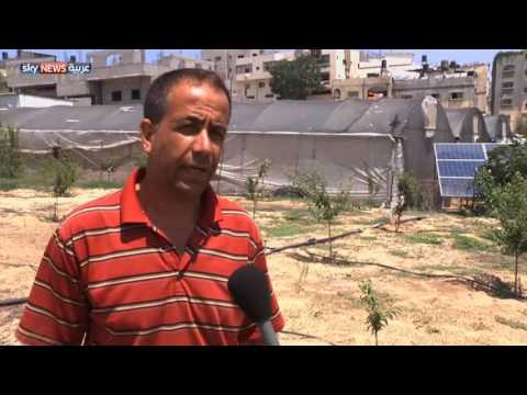 شاهد تزايد استخدام الطاقة الشمسية بالزراعة في غزة