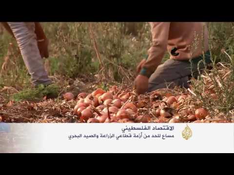 الاحتلال الاسرائيلي يضيق على قطاع الزراعة الفلسطيني
