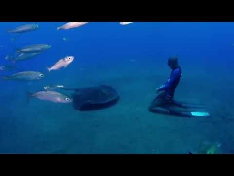 شاهد غطاس حر يلعب مع اللساع