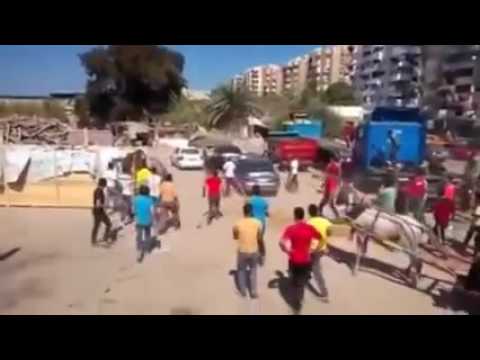 عجل هائج يتسبب في اصابة العشرات داخل سوق بور سعيد