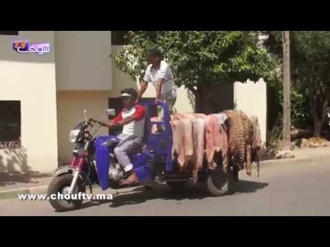 تقاليد و أجواء عيد الأضحى