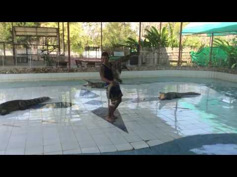 تعرف على الراقص مع التماسيح الأشهر في آسيا