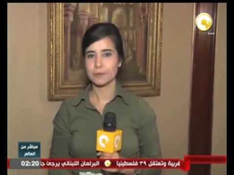 مقابلة مع وزير التجارة الخارجية والتنمية الفنلندي