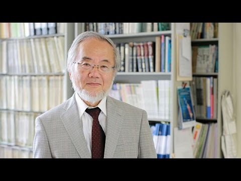 فوز الياباني يوشينوري أوسومي بجائزة نوبل للطب لعام 2016