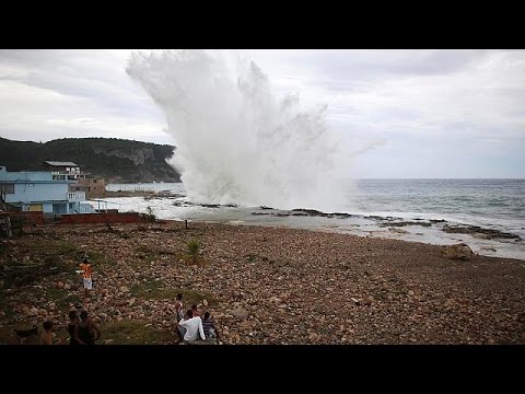 تمثال لأشهر قط تركي في إسطنبول