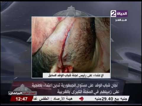 لجان شباب الوفد تدين إعتداء بلطجية على زميلهم في المحلة