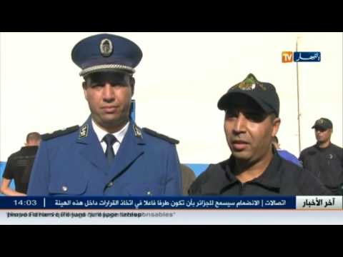 توقيف شبكة إجرامية بحوزتها 8 كلغ من القنب الهندي