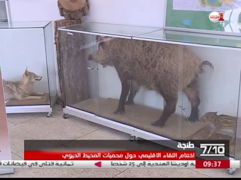 زيارات ميدانية لمحميات جهة طنجة تطوان الحسيمة