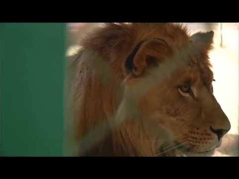 محمية طبيعية في الأردن