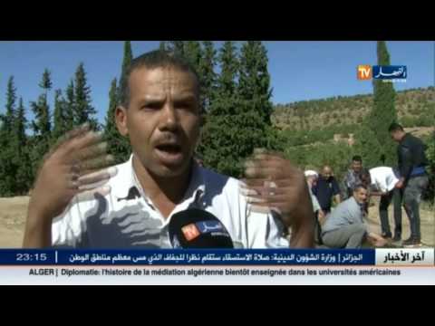 إقبال مرضى الكلى على ينابيع عين البرانيس أملًا في الشفاء