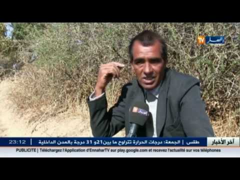 شح الأمطار يؤخر حملة الحرث والبذر وسط تخوف الفلاحون