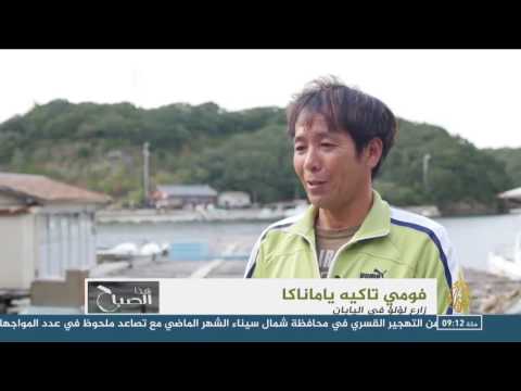 انطلاق مهرجان للؤلؤ في اليابان