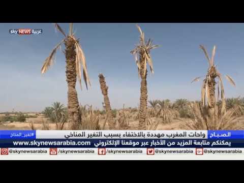 واحات المغرب مهددة بالاختفاء