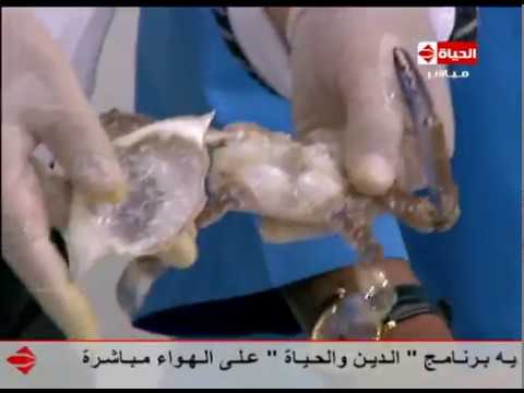 طريقة كابوريا محشية مرتة