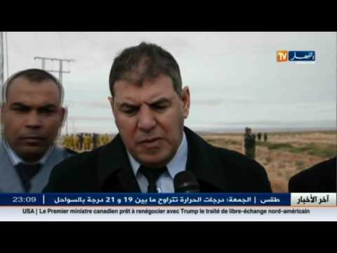 تشجير 200 هكتار في الجلفة