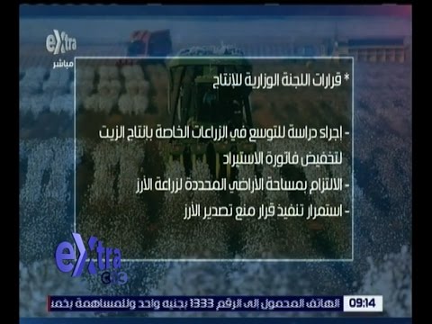 بالفيديو تعرف على قرارات اللجنة الوزارية للإنتاج