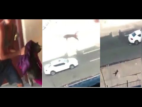 فتاة تلقي قطة من الطابق الثالث